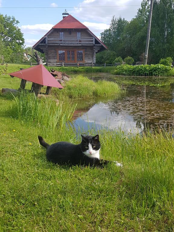 Bellas Namins Cēsis Eksteriør billede