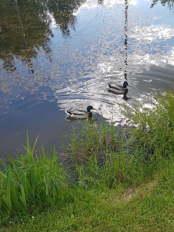 Bellas Namins Cēsis Eksteriør billede